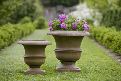 Two classic urns planted with purple geraniums and sitting on lawn