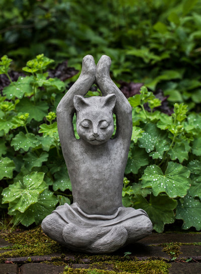 Gray cat in a sitting yoga position 