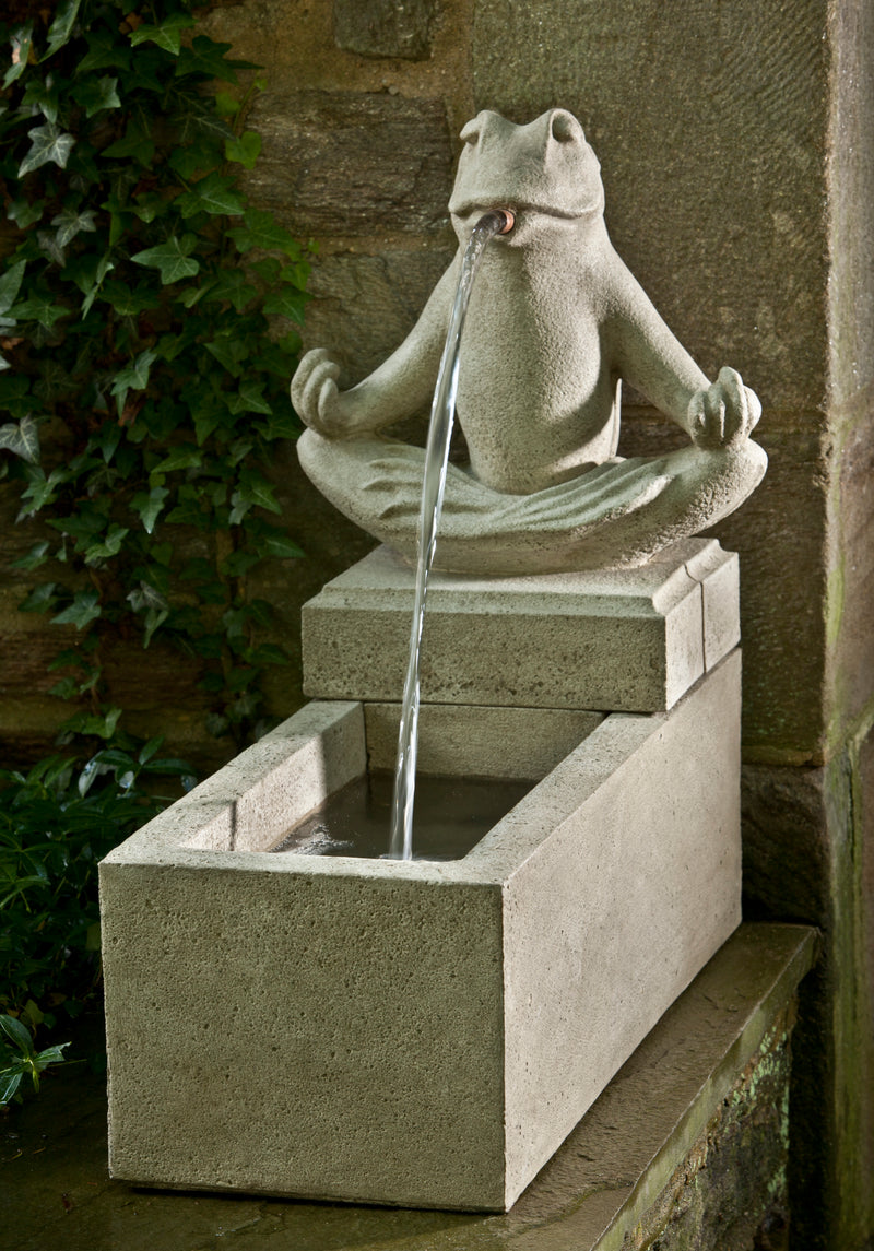 Rectangular basin with yoga frog spitting water into it