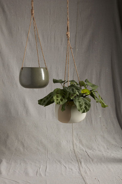 Calliope Hanging Pot