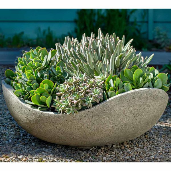 Wave shaped bowl planted with succulents