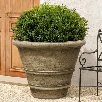 Large rolled rim container planted with a boxwood and shown between a door and a metal chair