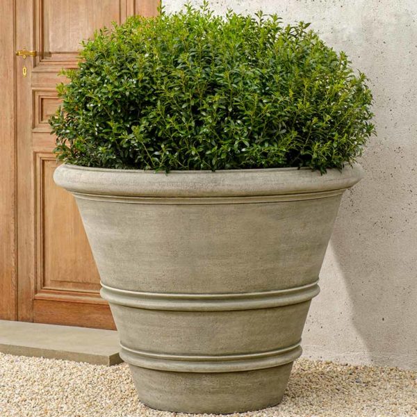 Large cast stone container with rolled rim details shown planted with a boxwood next to a wooden door