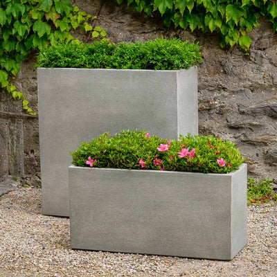 Set of 2 rectangular containers planted with shrubs and shown in front of stone wall