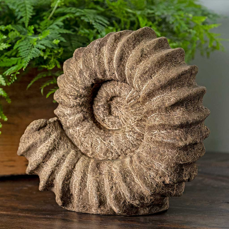 Sea Ammonite by Campania International