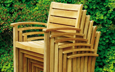 Stacked teak armchairs in front of green hedge