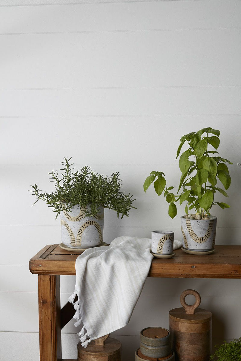 Tocoa Pot